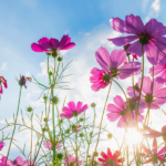 Insights-There’s a Spring in Our Step!